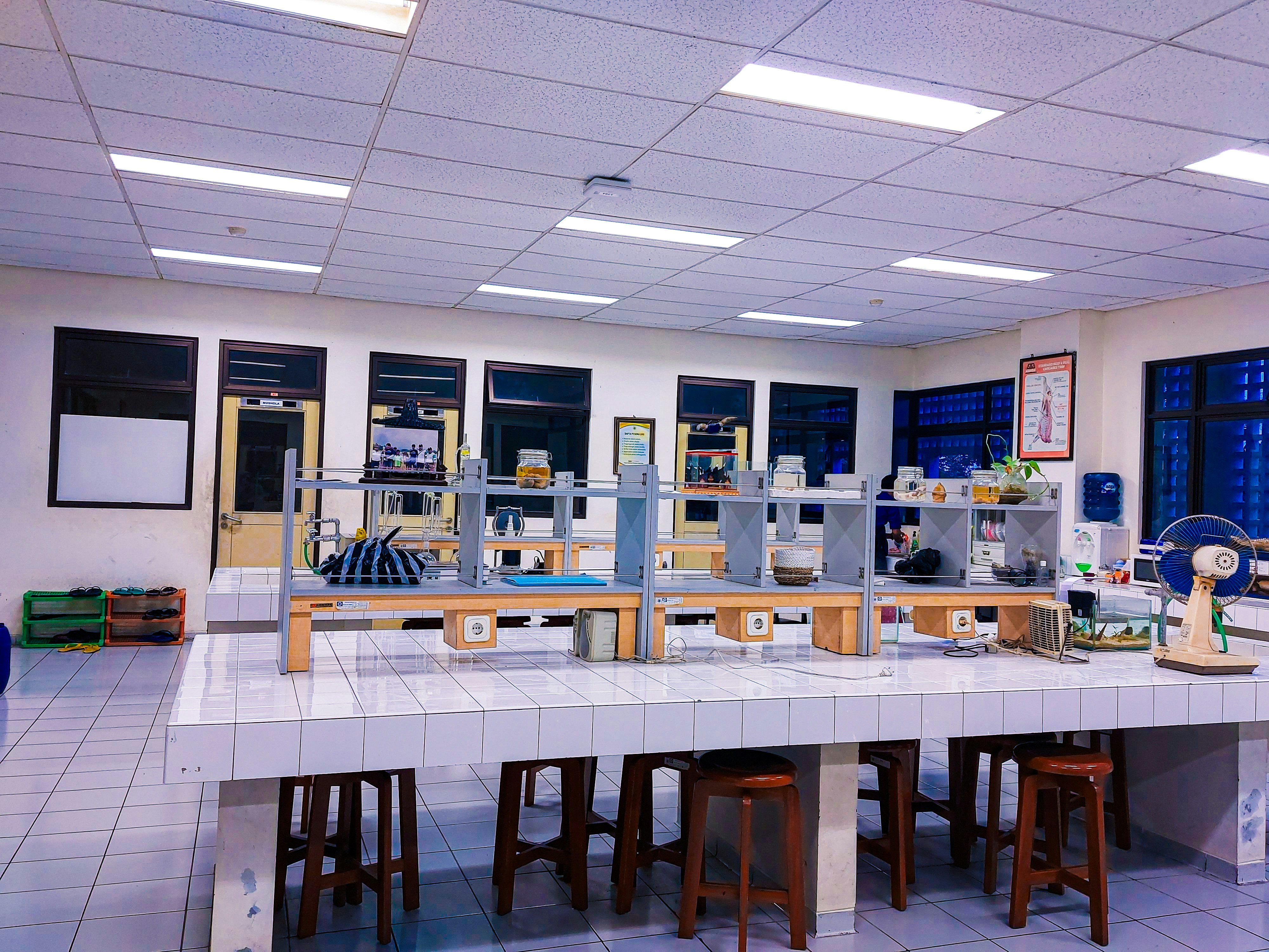 Department of Physics, Sri Venkateswara College